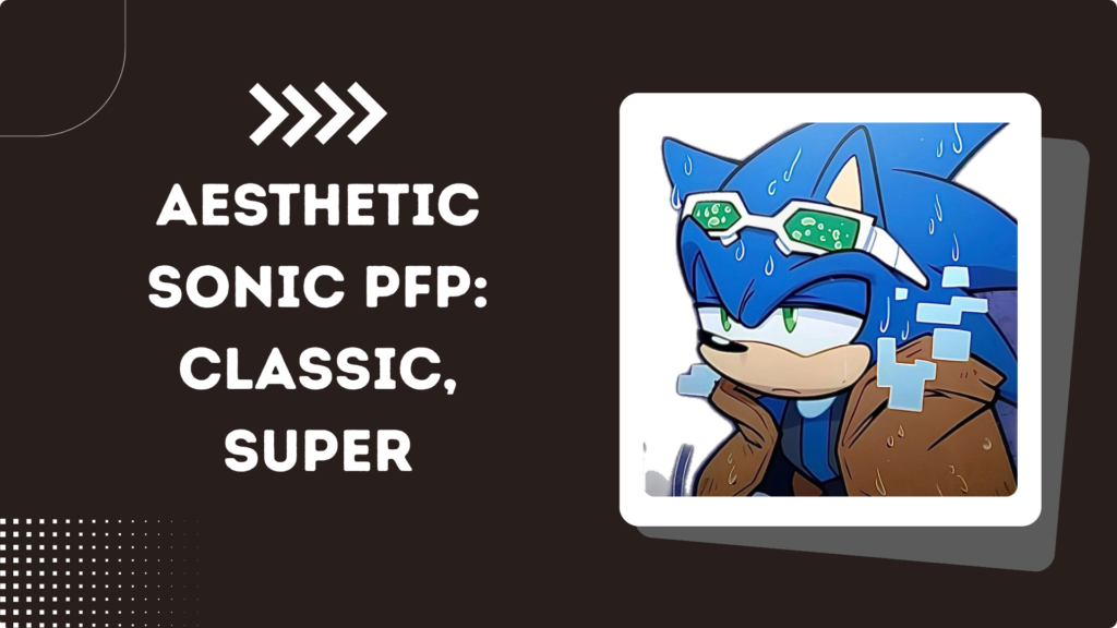 Aesthetic Sonic PFP