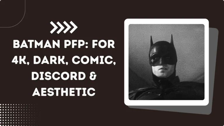 Batman PFP