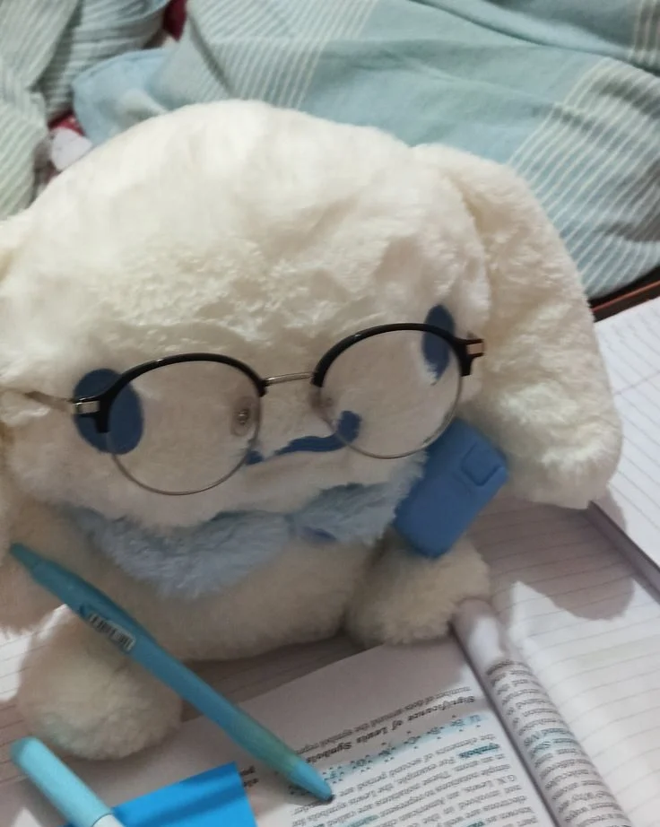 Cinnamoroll Pfp Pinterest