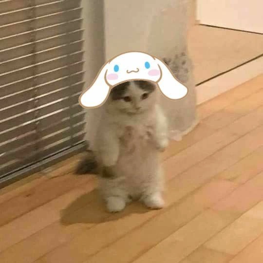 Cinnamoroll Wallpaper