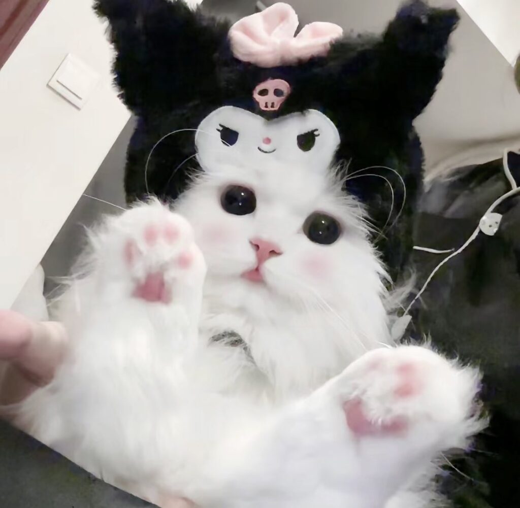 Cute Kuromi Cat PFP