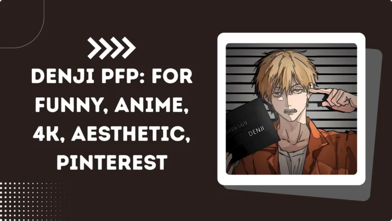 Denji PFP
