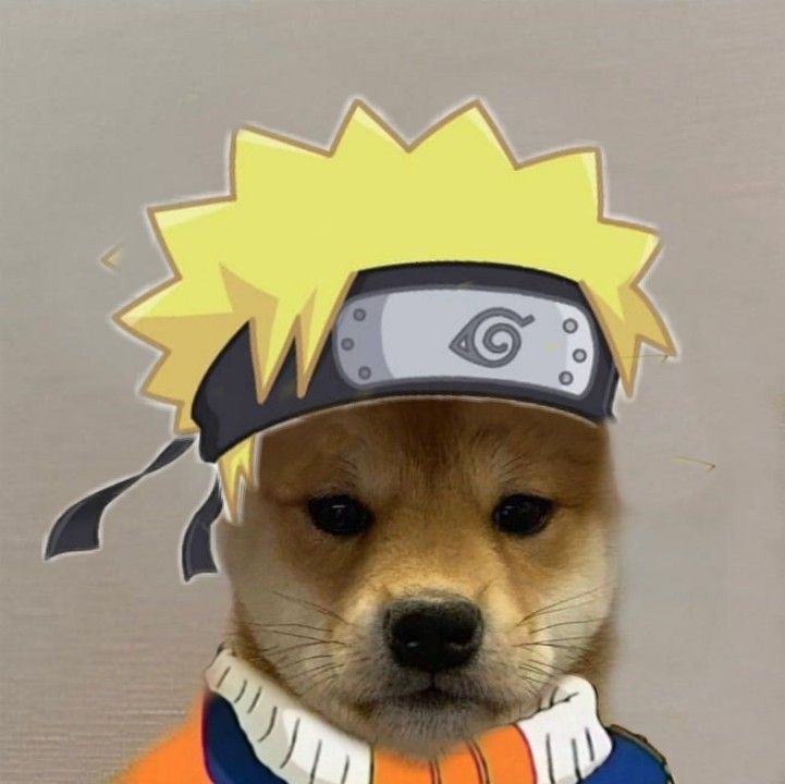 Dog pfp anime