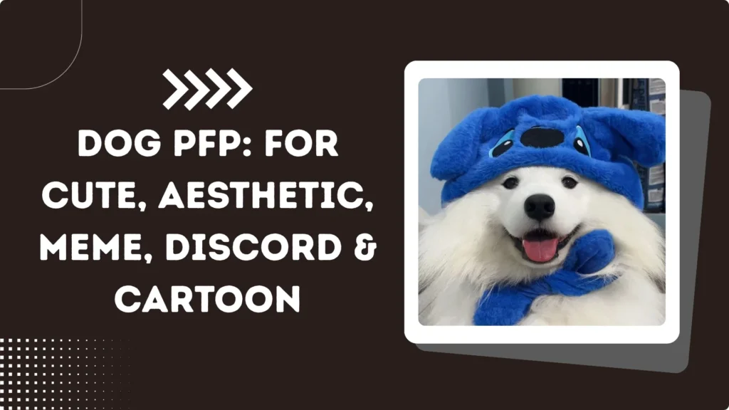Dog PFP