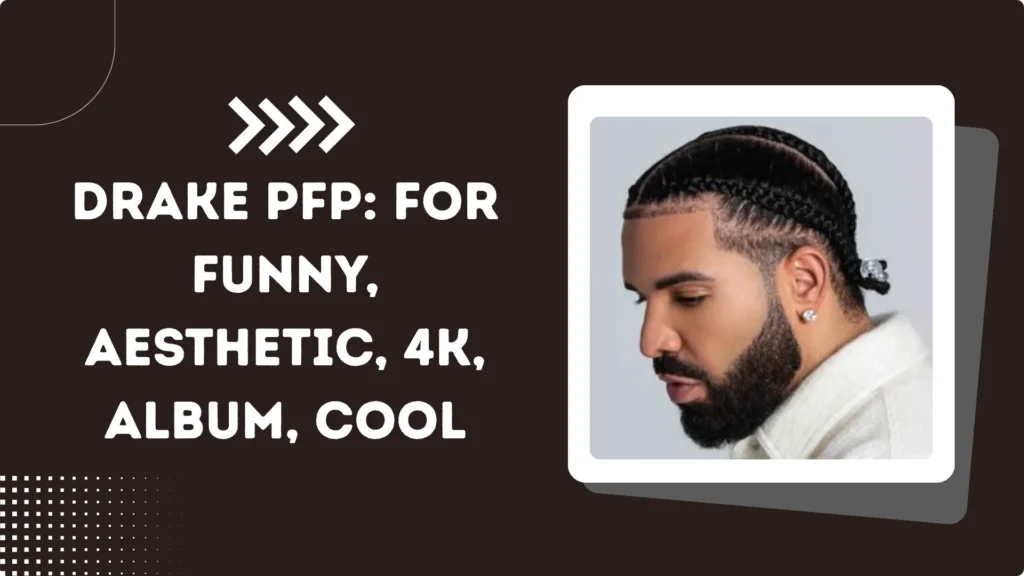 Drake PFP