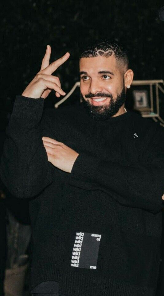 Drake pfp aesthetic