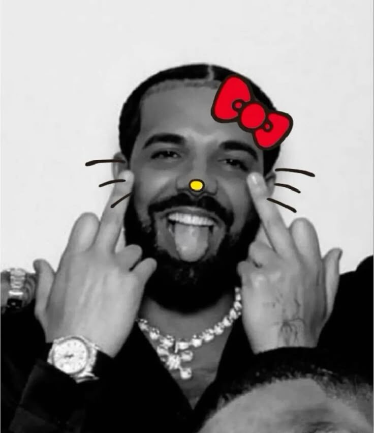 Drake pfp funny