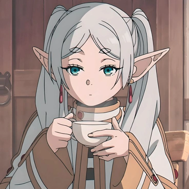 Frieren pfp aesthetic