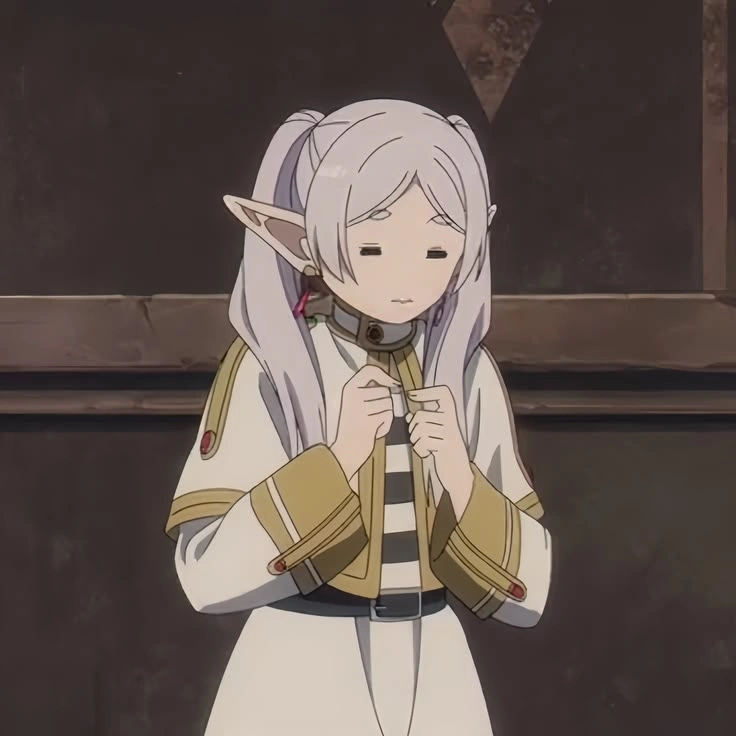 Frieren pfp aesthetic