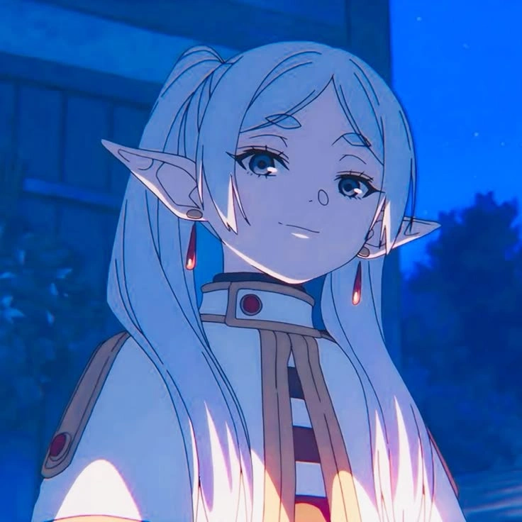 Frieren pfp anime