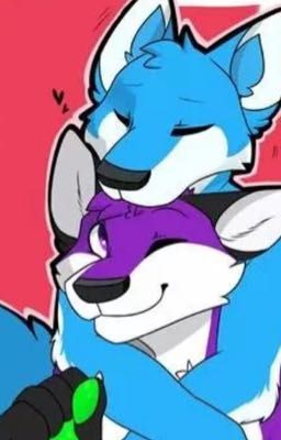 Gay Furry PFP