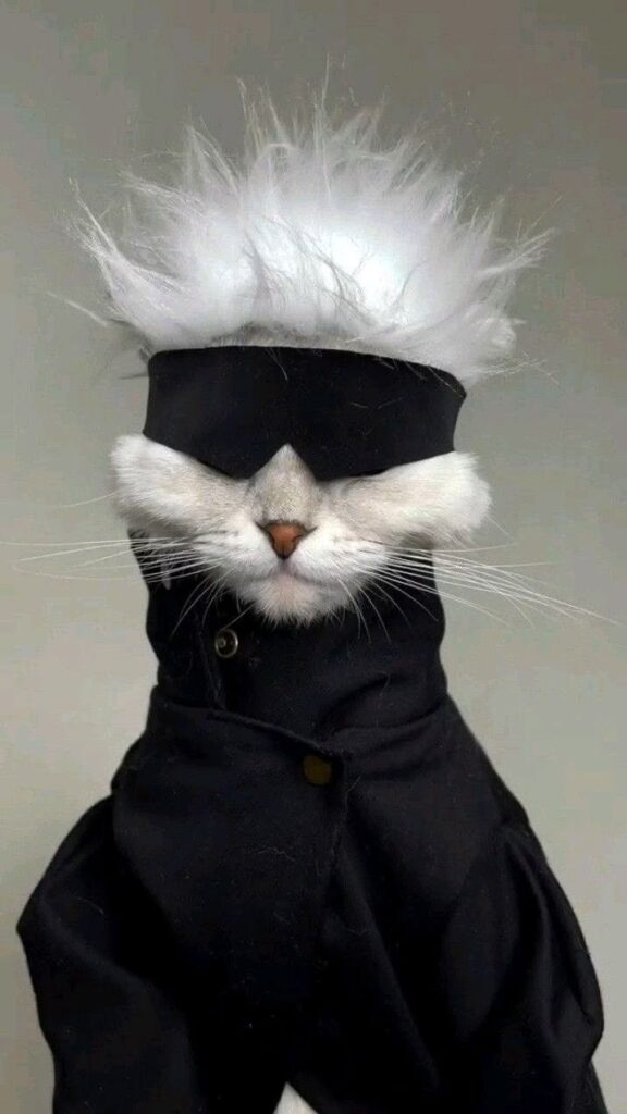 Cat Gojo PFP