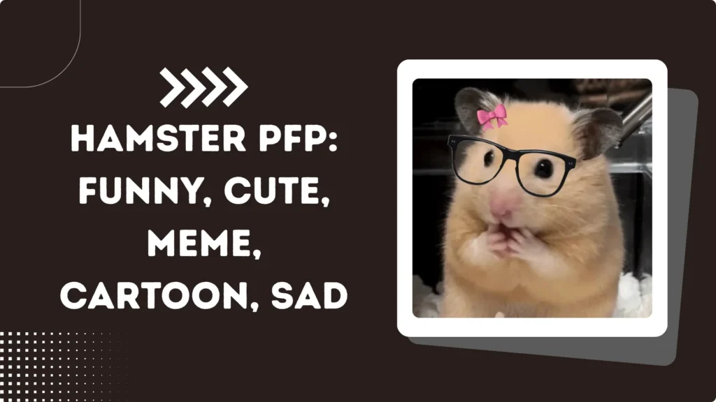 Hamster PFP