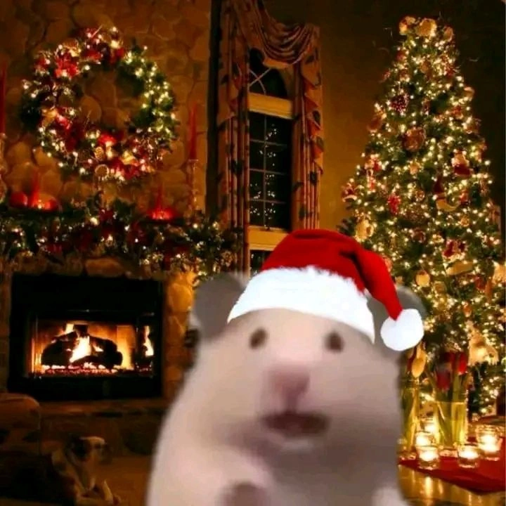 Hamster PFP Christmas
