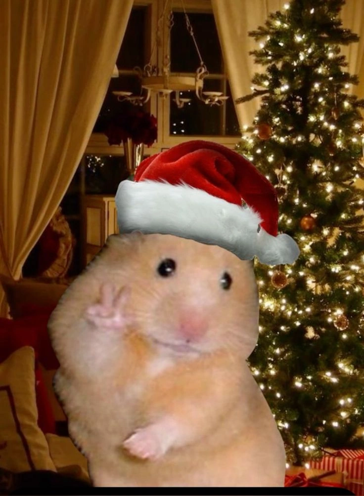 Hamster PFP Christmas
