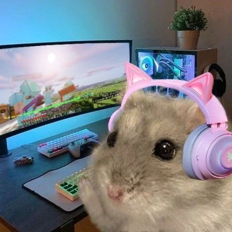 Hamster PFP Discord