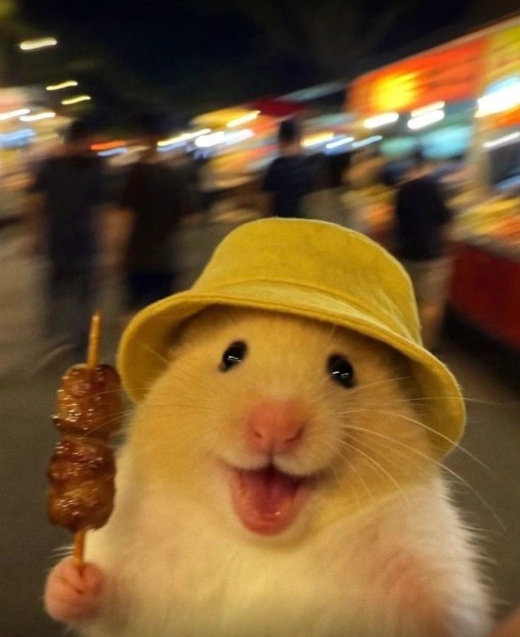 Hamster PFP Meme