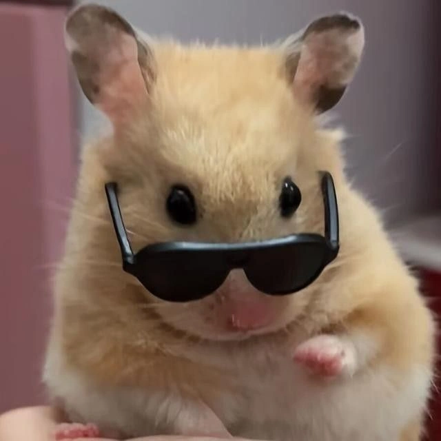 Hamster PFP Meme