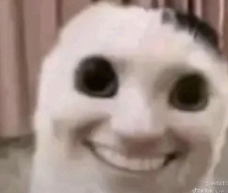 Goofy Ahh PFP Pinterest