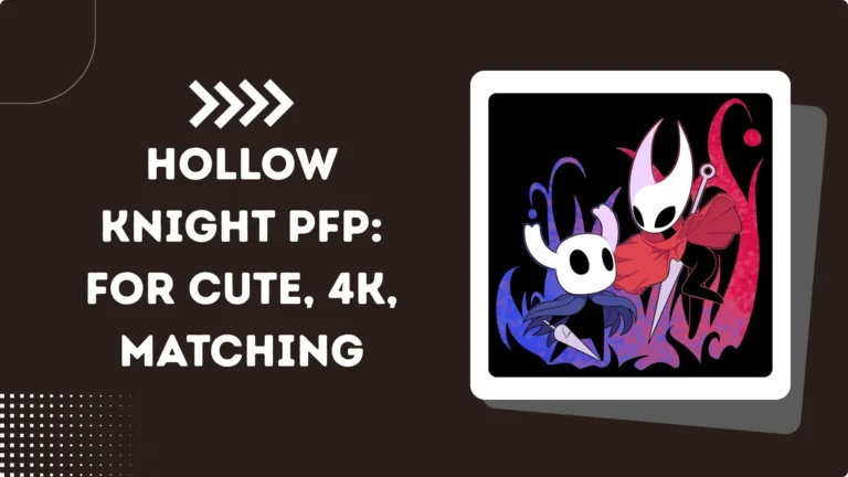 Hollow knight pfp