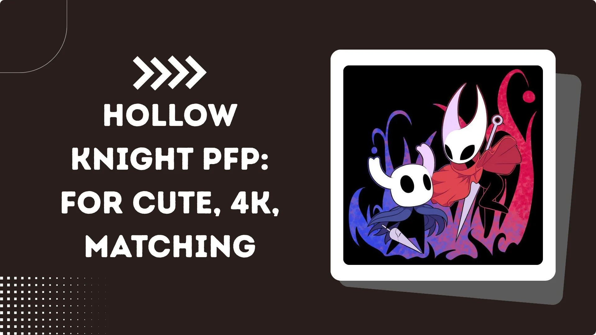 Hollow knight pfp