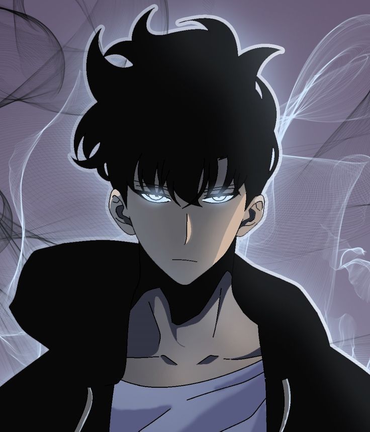 Solo leveling pfp for pinterest