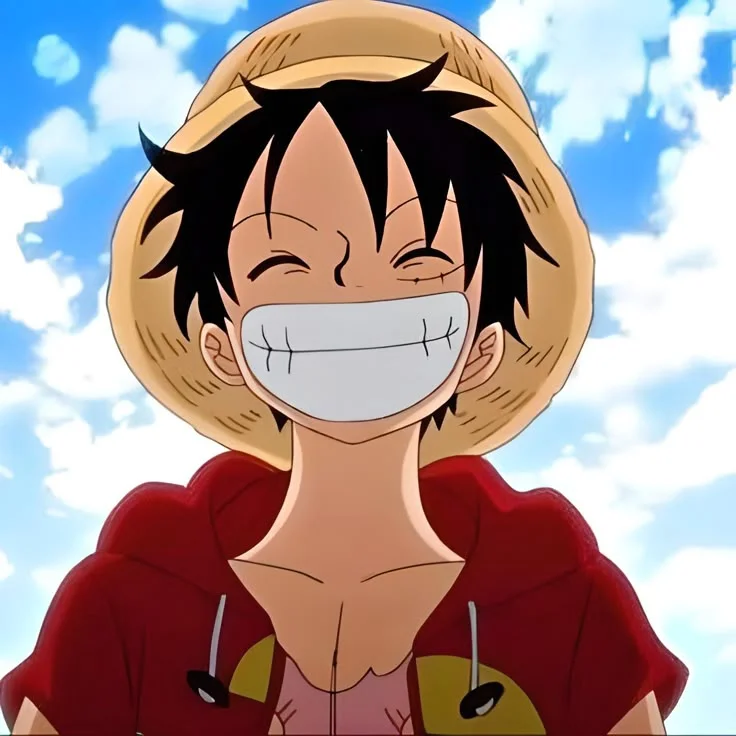 Luffy PFP Aesthetic