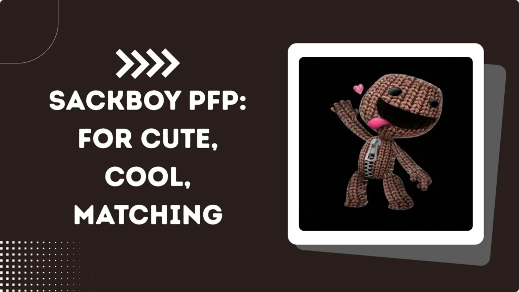 Sackboy PFP