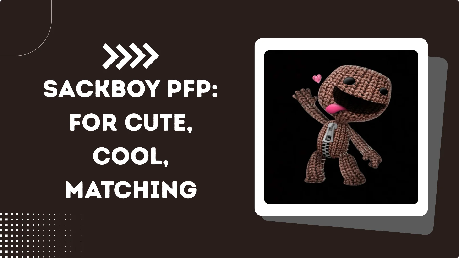 Sackboy PFP