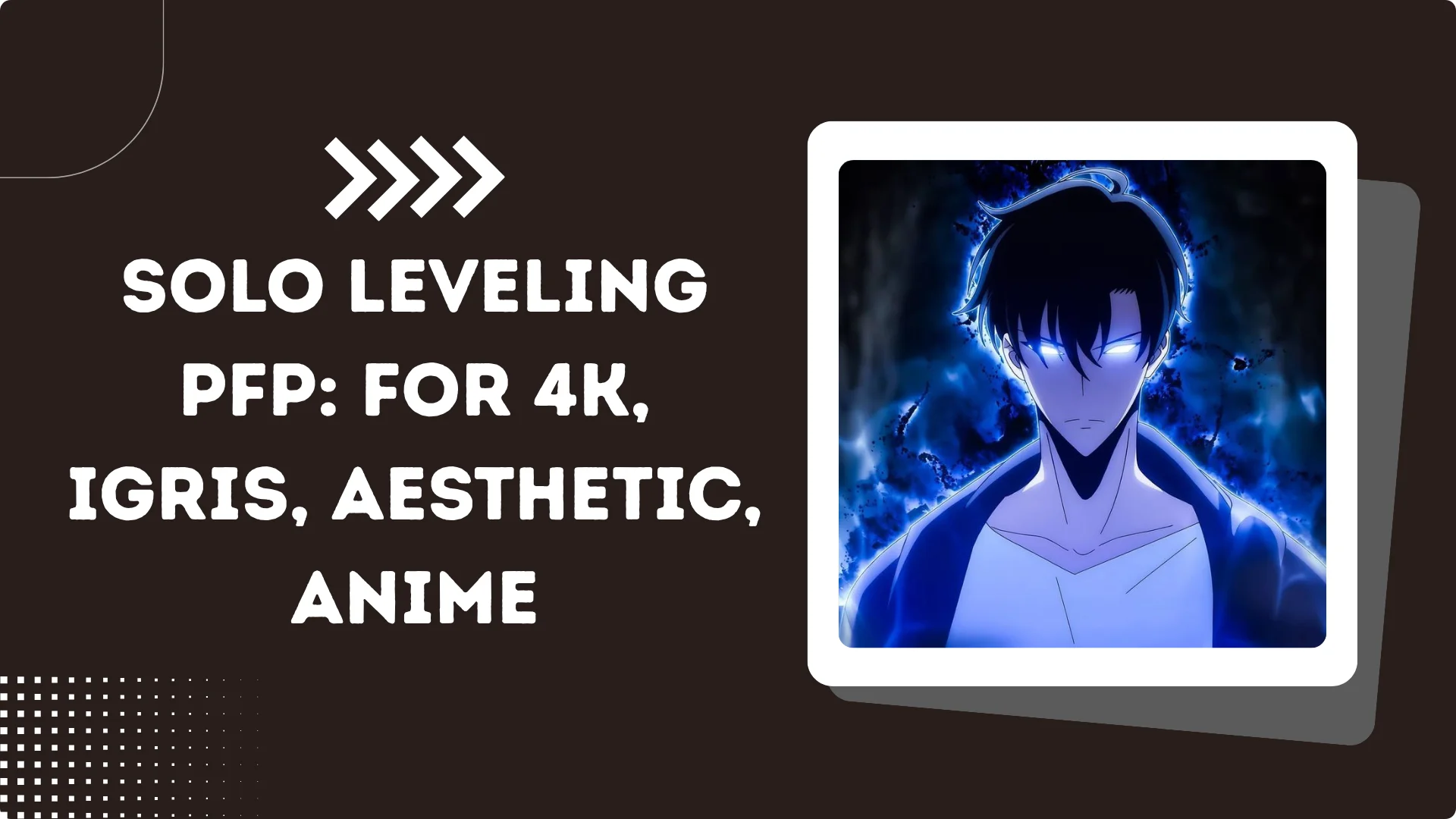 Solo Leveling PFP