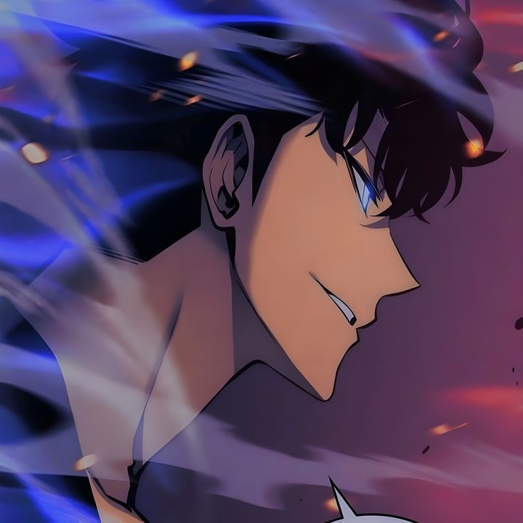 Solo Leveling pfp anime