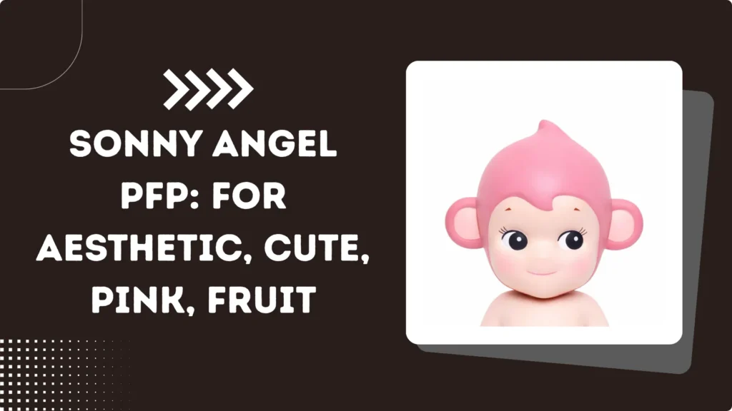 Sonny Angel PFP