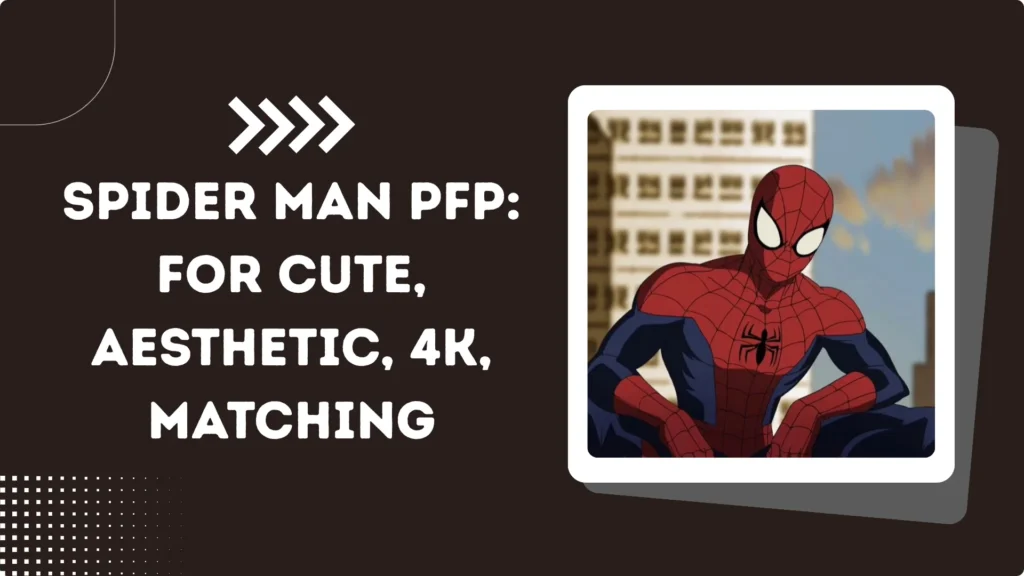 Spider man PFP