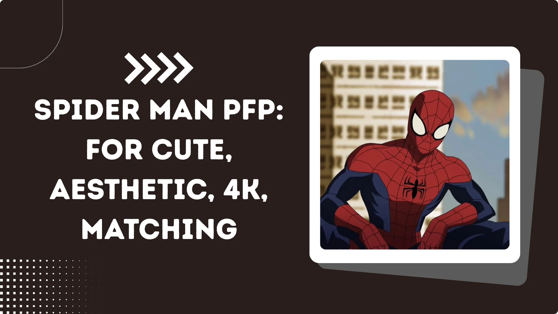 Spider man PFP