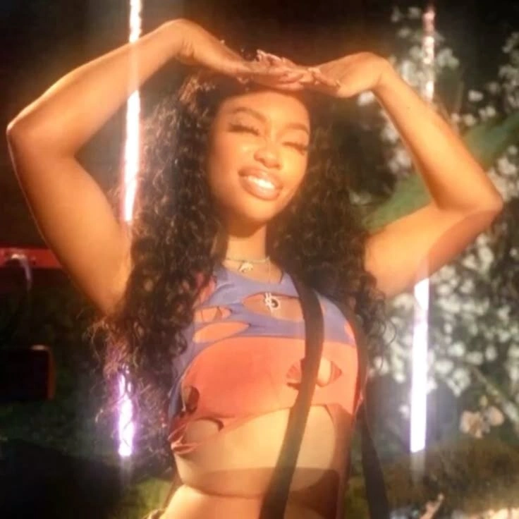 Sza PFP Album