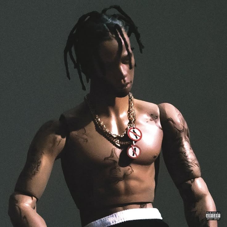 Rodeo Travis Scott PFP