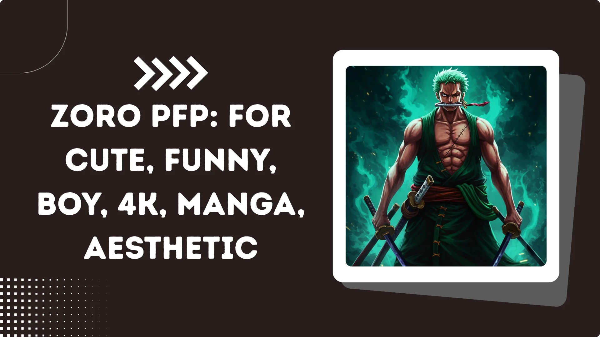 Zoro PFP