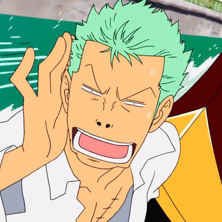 Zoro PFP Funny