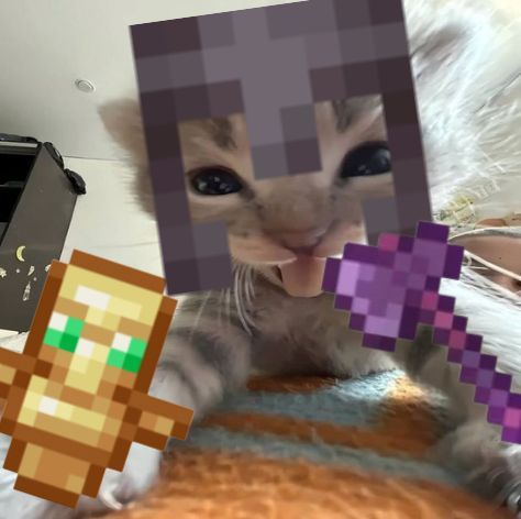 Funny Minecraft PFP