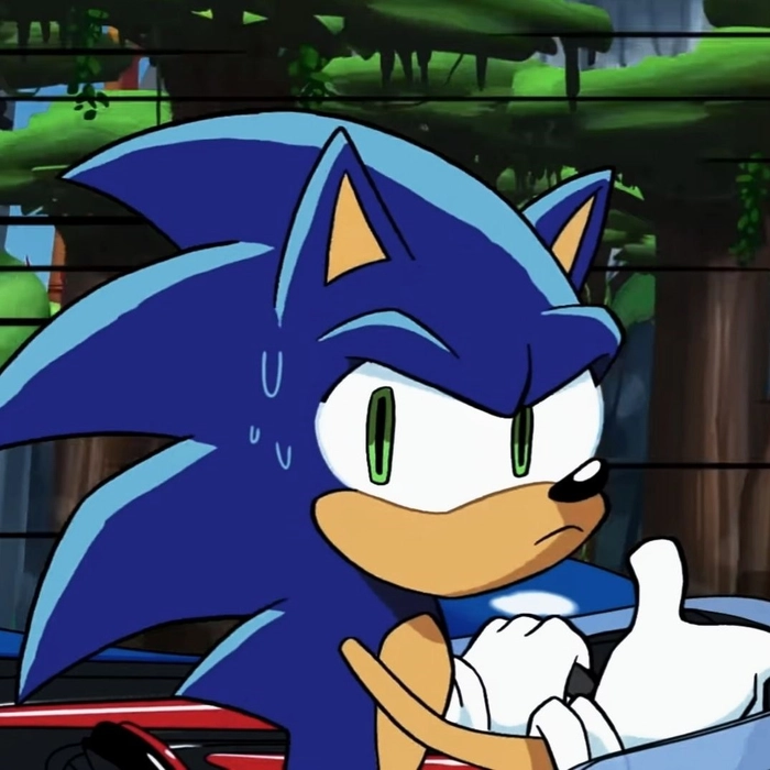 Cool Sonic pfp anime