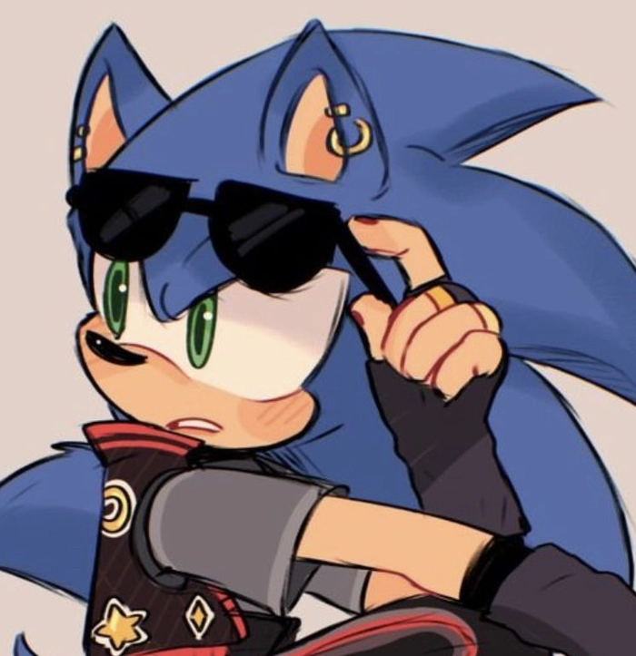 Cool Sonic pfp aesthetic