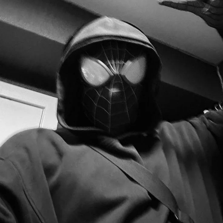 Spider Man pfp aesthetic