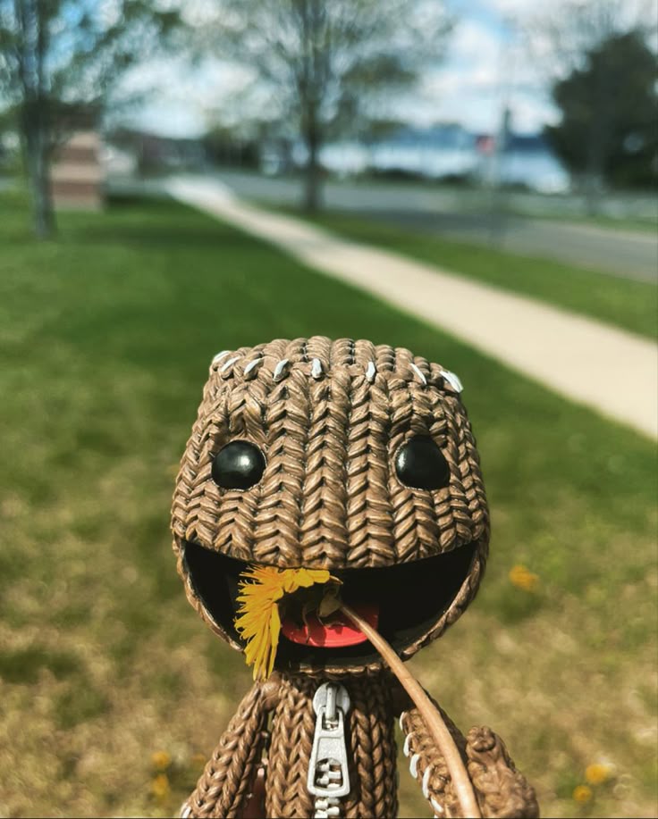 Sackboy PFP Pinterest