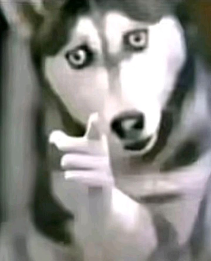 Goofy Ahh PFP Pinterest