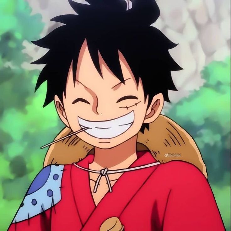 One Piece PFP Luffy