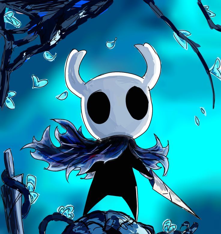 Hollow knight pfp cute
