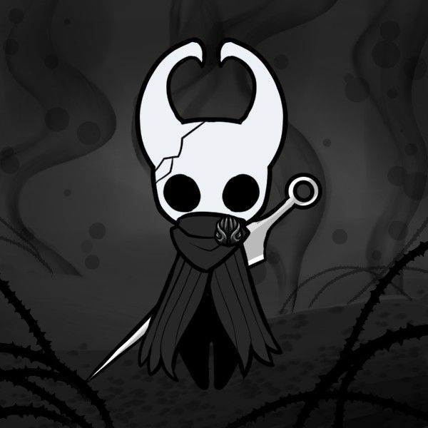 Hollow knight pfp cute