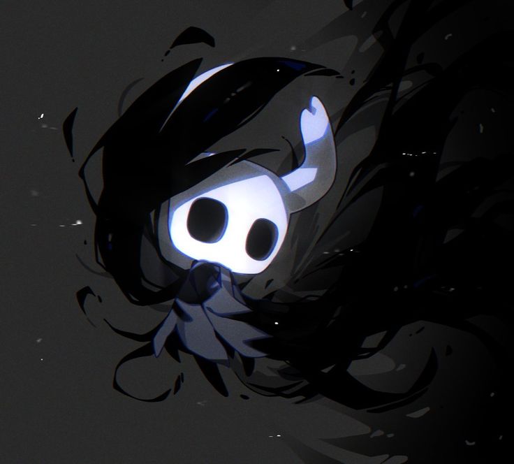 Hollow knight pfp aesthetic