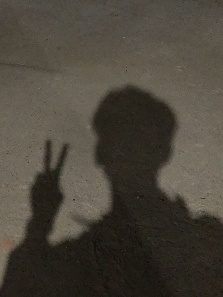 Shadow PFP Boy