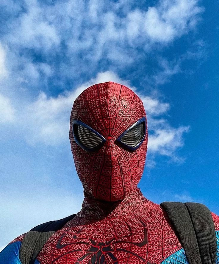Spider man pfp pinterest
